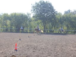 img_0233_web